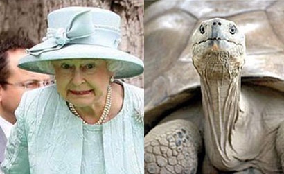 Похожие на знаменитостей люди, предметы и персонажи: Королева Великобритании и черепаха