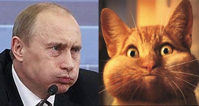 Похожие на знаменитостей люди, предметы и персонажи: Владимир Путин и кот с птицей во рту